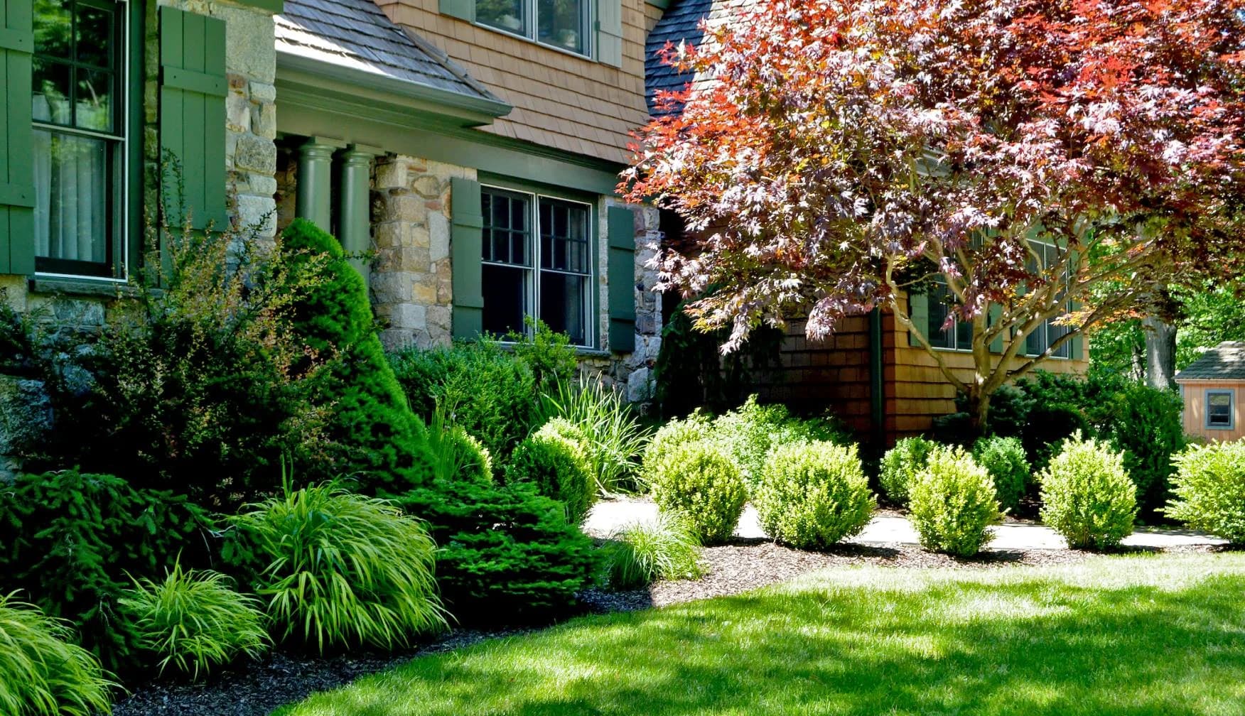 Tree & Shrub Planting Services in Mansfield, OH