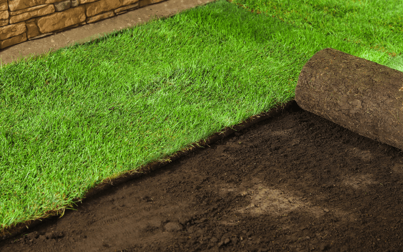 Sod Installation Services in Mansfield, OH